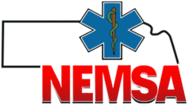 NEMSA- Logo