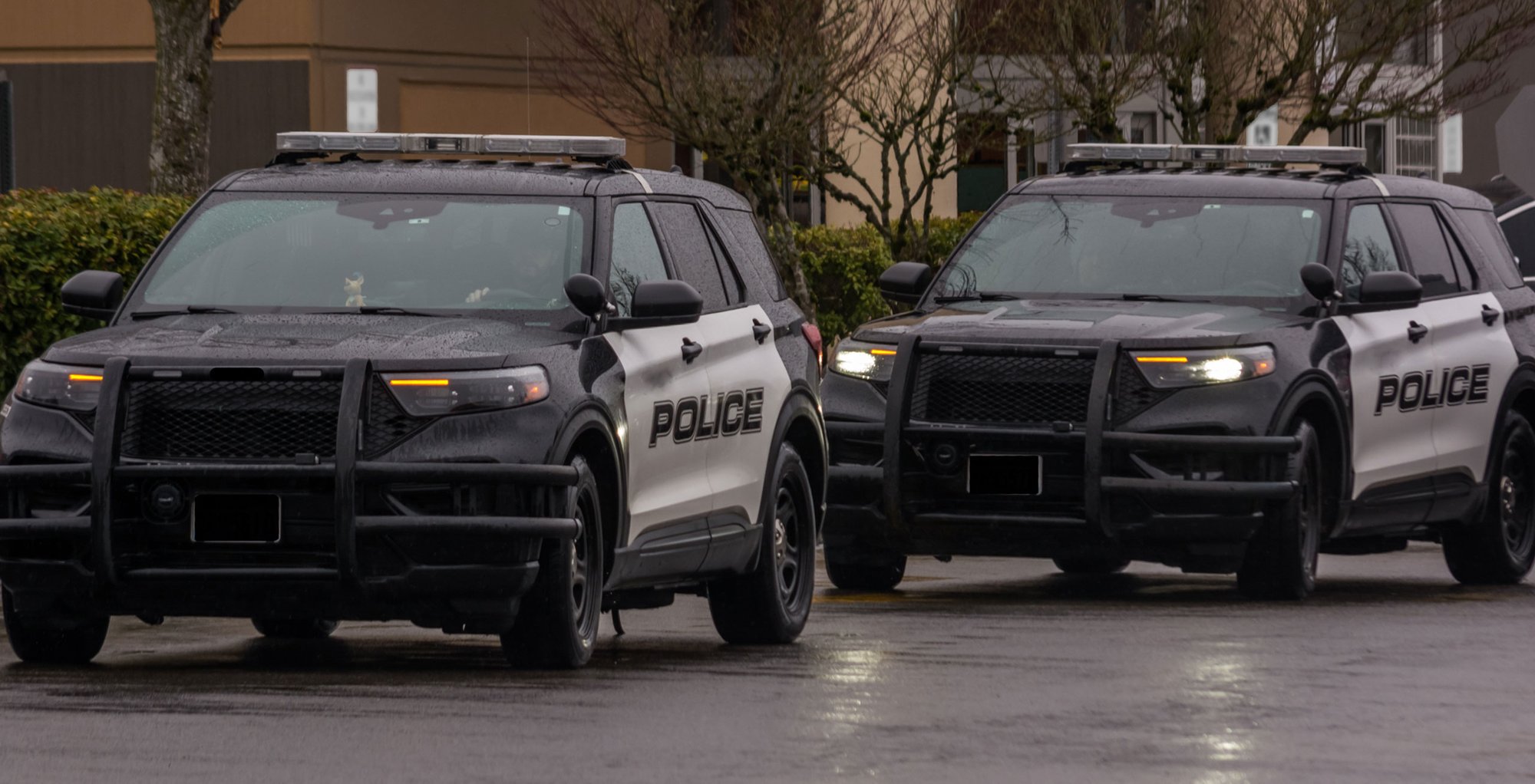 law-enforcement-vehicle-checks-pstrax-software law-enforcement-vehicle-checks-pstrax-software